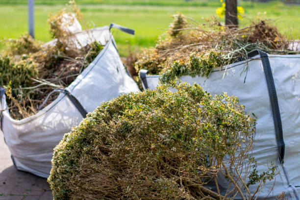 Best Appliance Removal Near Me  in Tazewell, VA